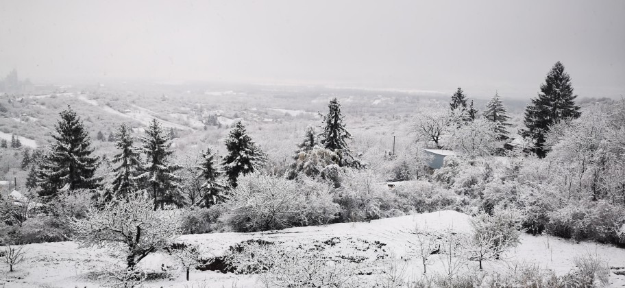 Vác-Nyulas