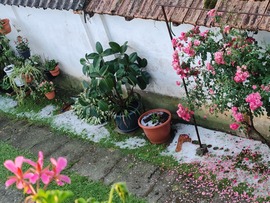 Csákánydoroszló