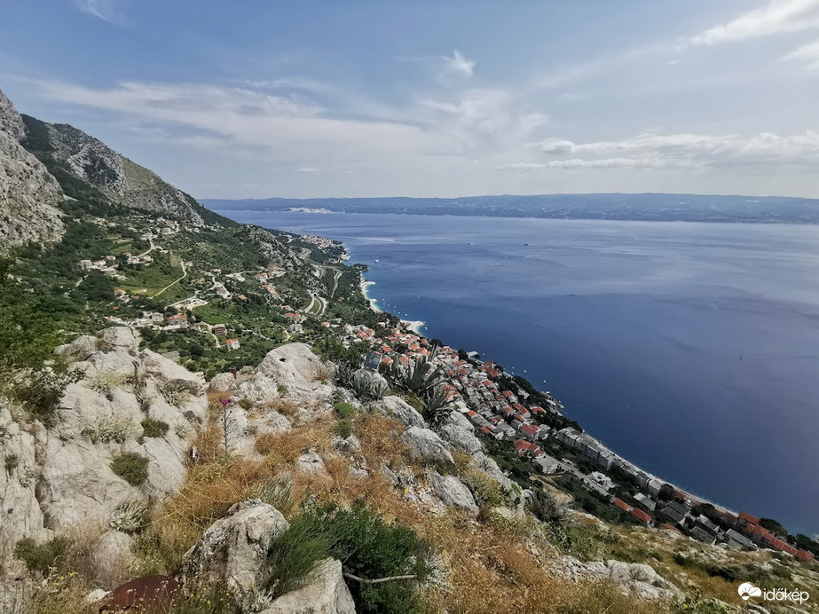 Omis