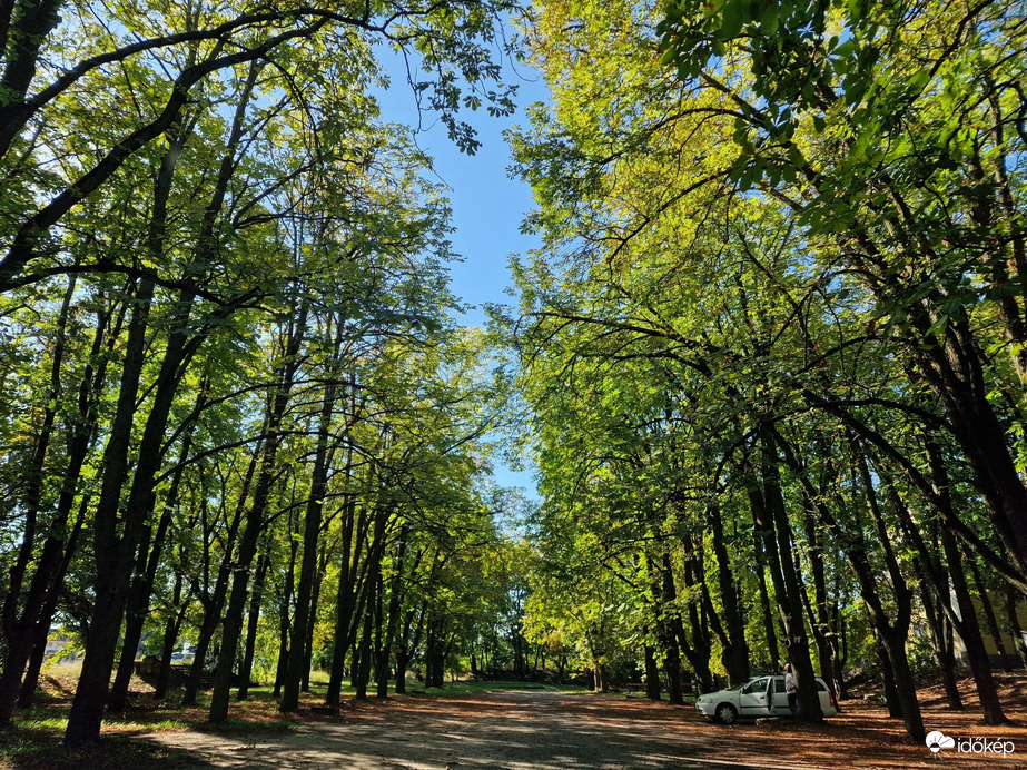 Vác