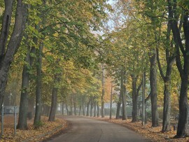 Balatonföldvár