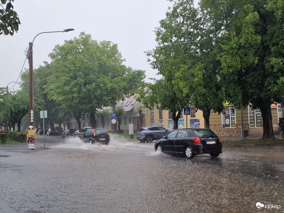 Vác-Nyulas