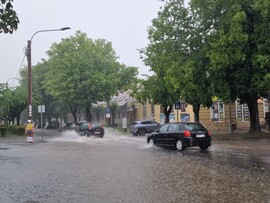 Vác-Nyulas