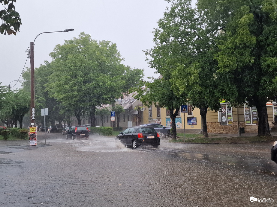 Vác-Nyulas