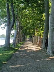 Balatonföldvár