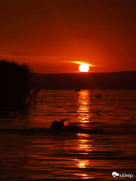Balatonföldvár