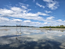 Balatonföldvár 