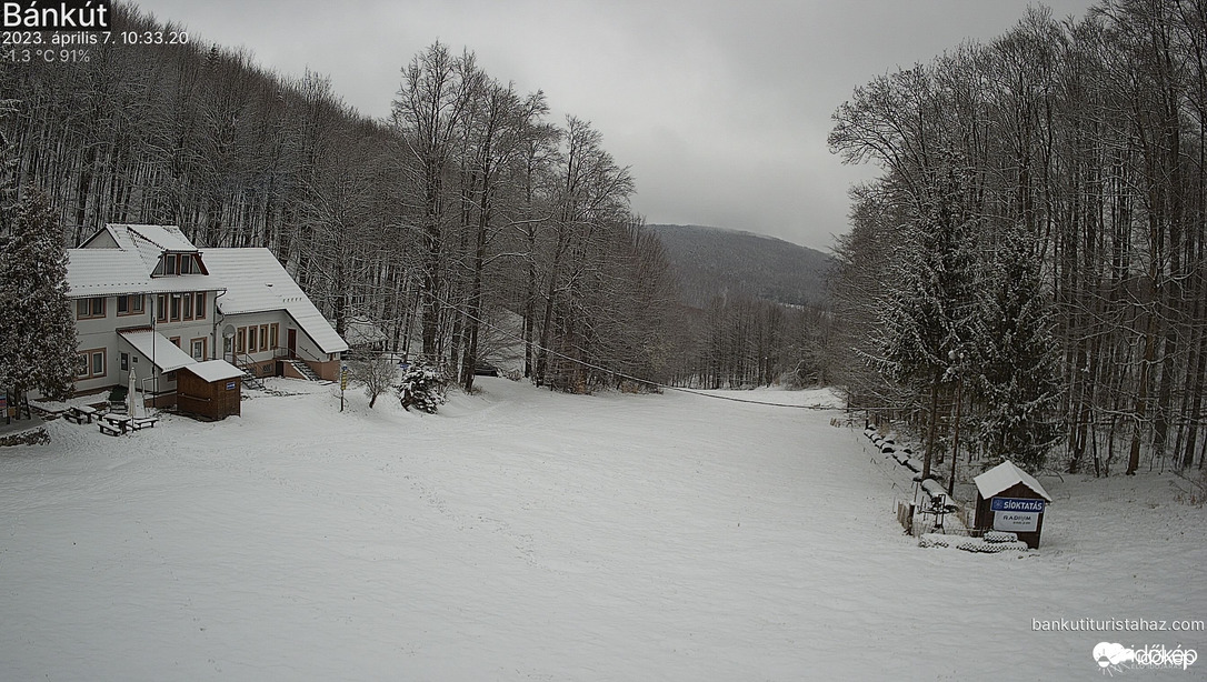 Bánkút