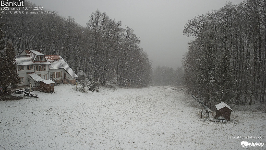 Bánkút