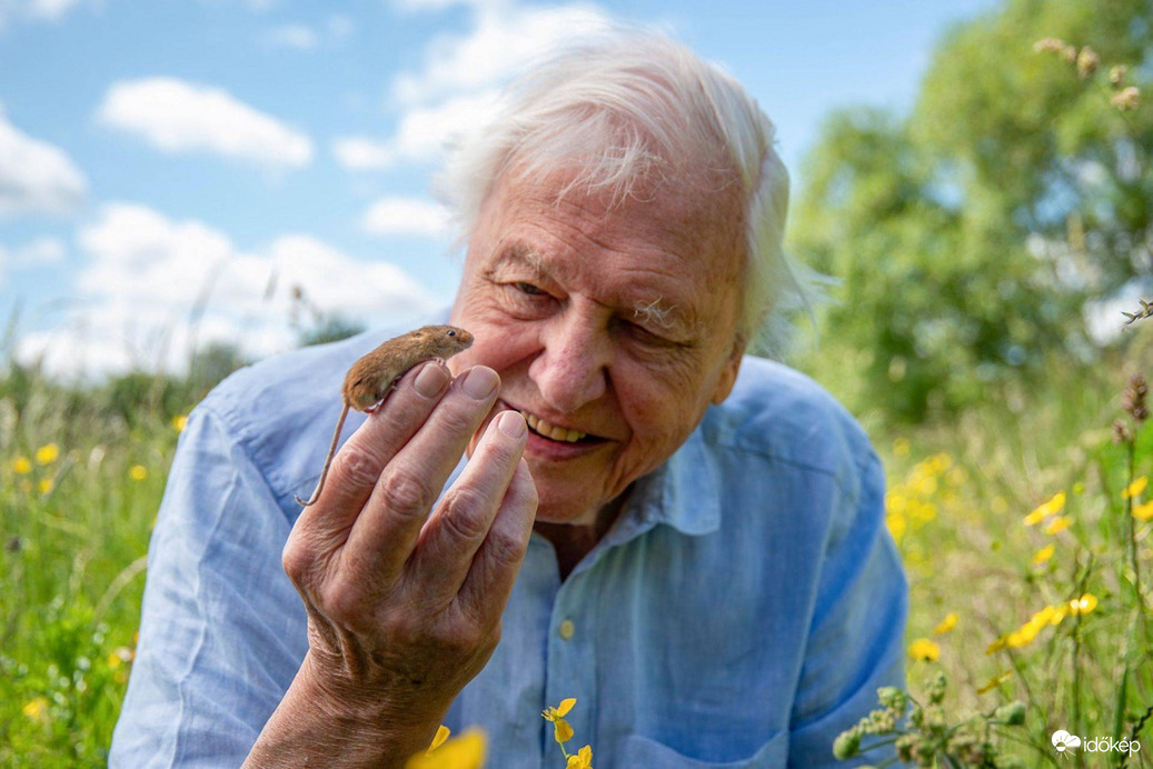 Sir David Attenborough