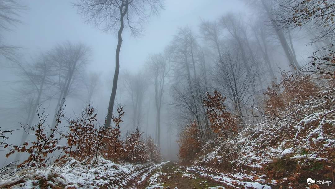 Nőnapi NHH 