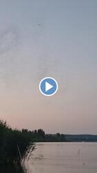 Vác-Nyulas