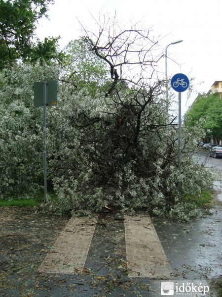 Vérmező