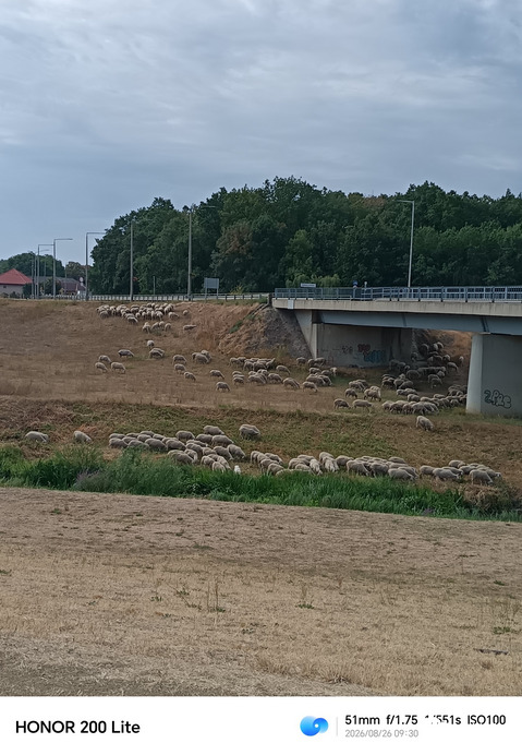 Berettyóújfalu