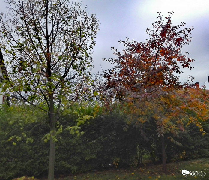 Utazás nyárból az őszbe