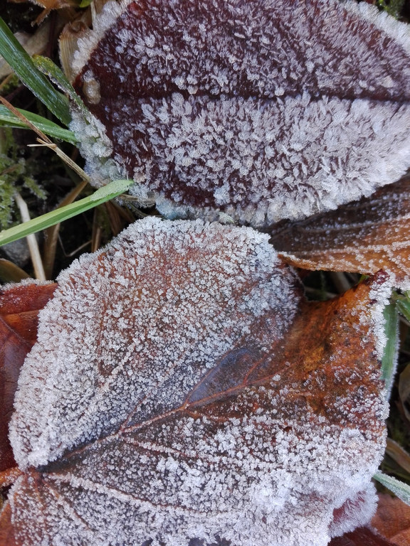 December első reggelén