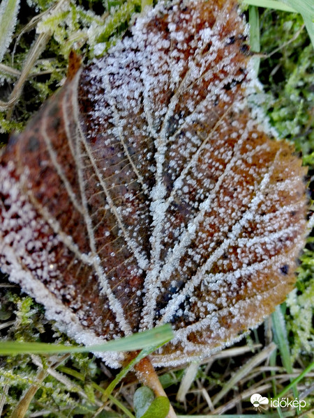 Karácsony reggelén