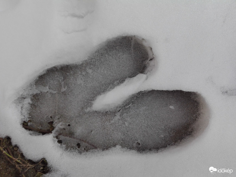 Befagyott lábnyom 