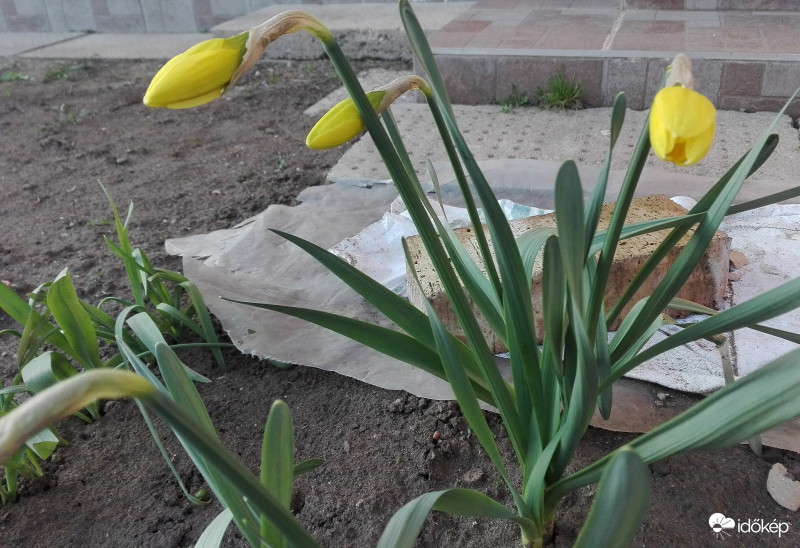 Húsvéti meglepetés 