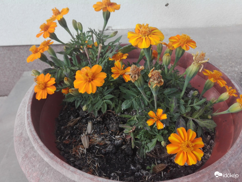 Csodaszép napsütésben