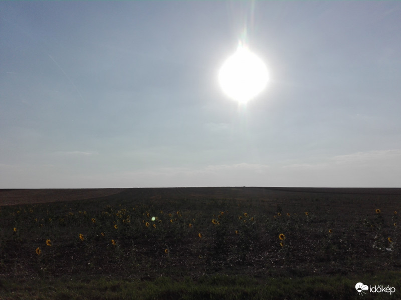 Utolsó napfény a nyárból