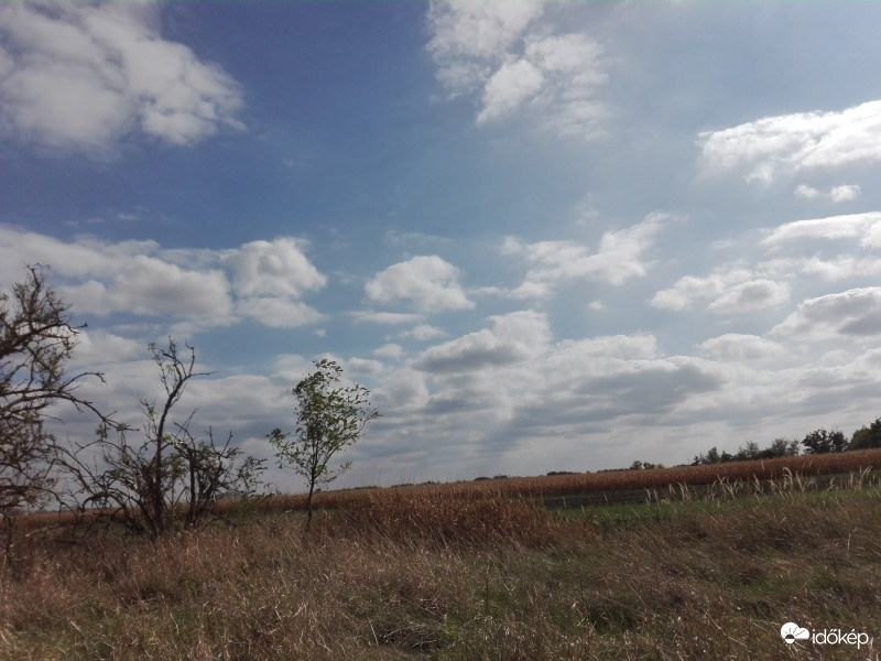 A pusztában is szép a látvány