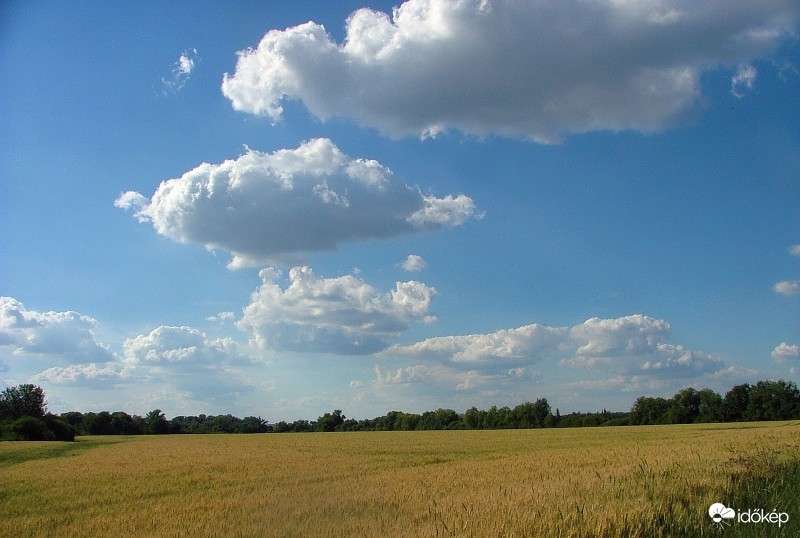 Határ