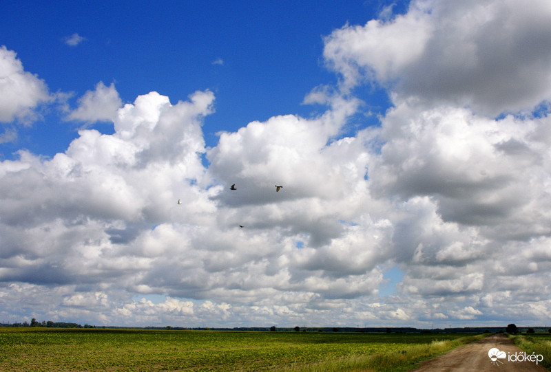 Gomolyfelhők