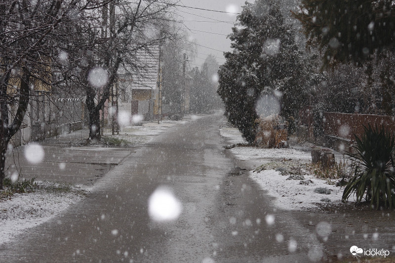 Havazik