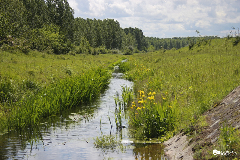 Csatorna mentén