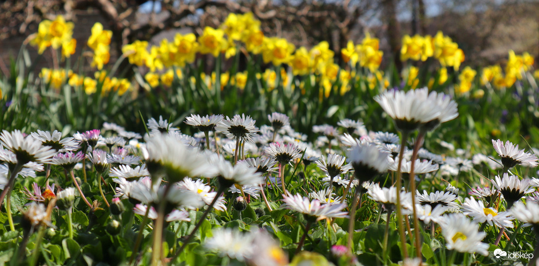 Ez már tavasz