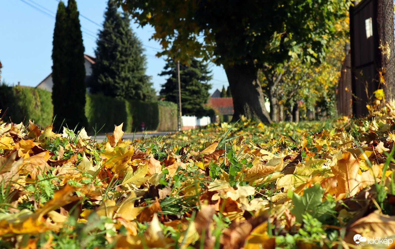 Levészőnyek napsütésben