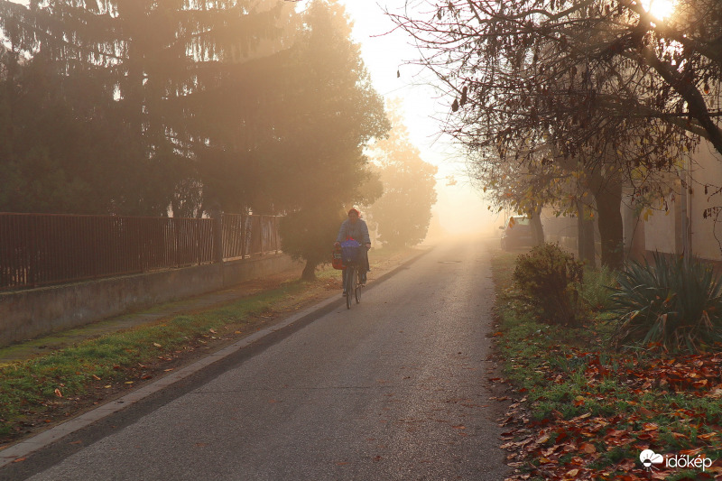 Köd az utcánkban