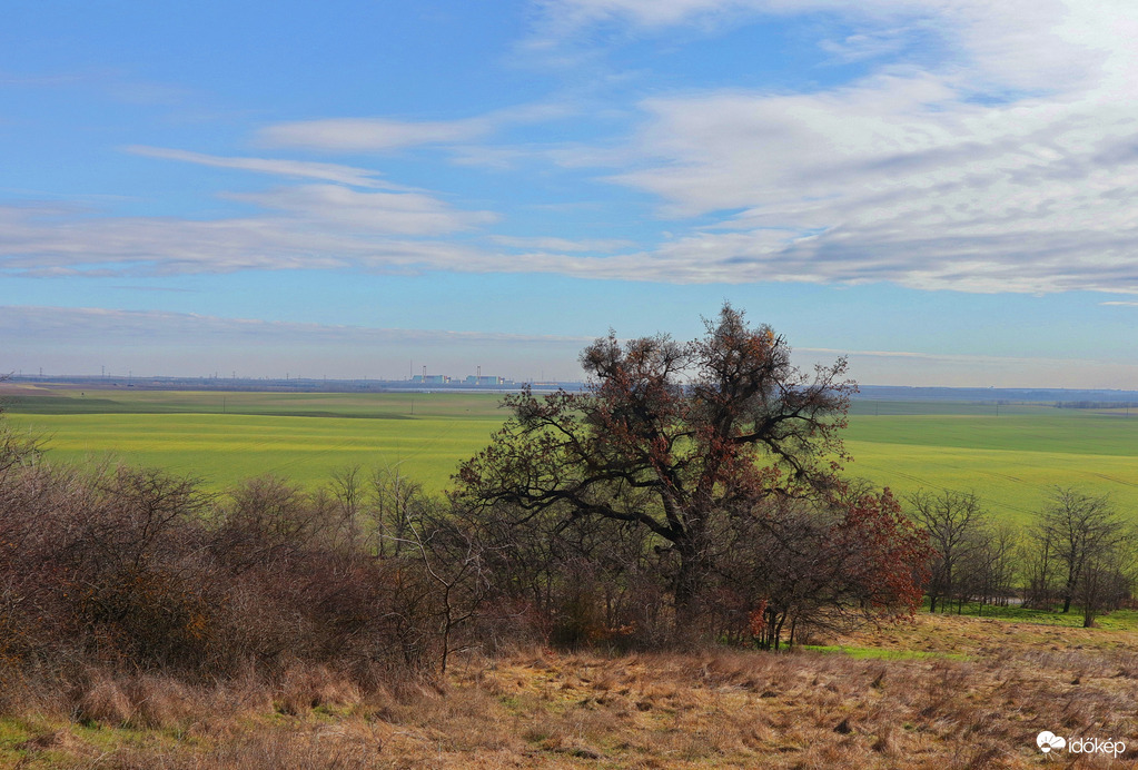 Látkép magányos tölgyfával