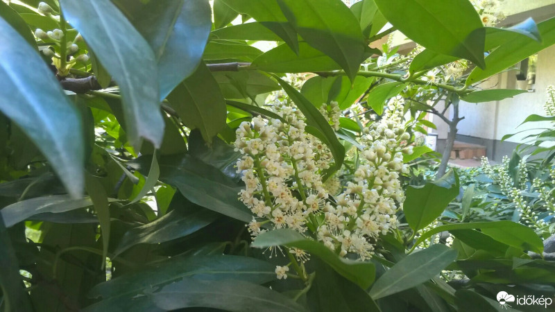 Budapest VIII.ker - Józsefváros