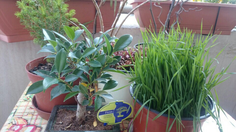 Budapest VIII.ker - Józsefváros