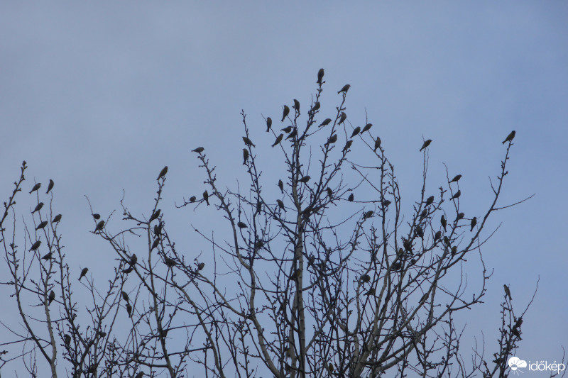 Budapest IX.ker - Ferencváros