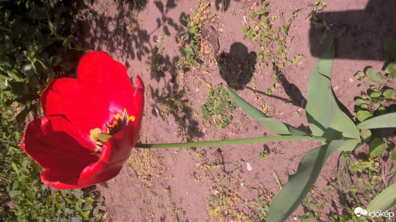 Budapest IX.ker - Ferencváros