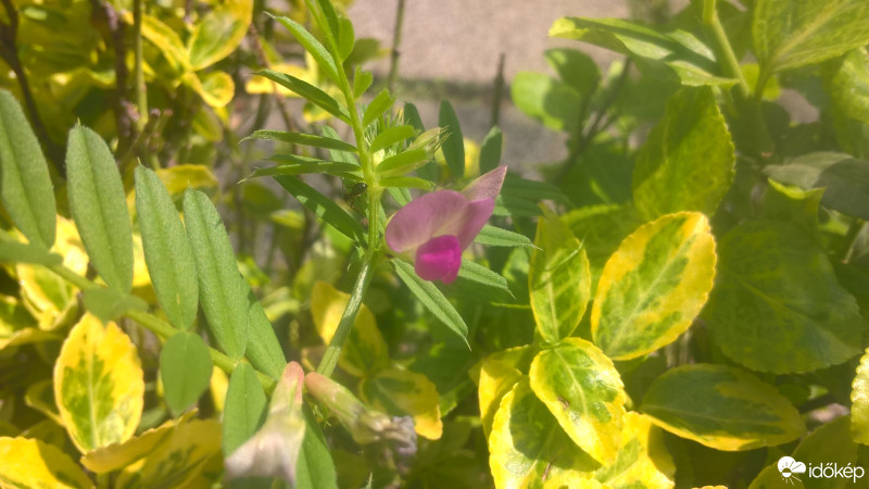 Budapest IX.ker - Ferencváros