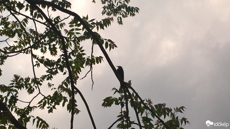 Budapest IX.ker - Ferencváros