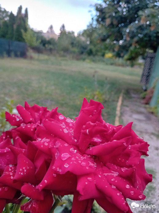 Kápolnásnyék