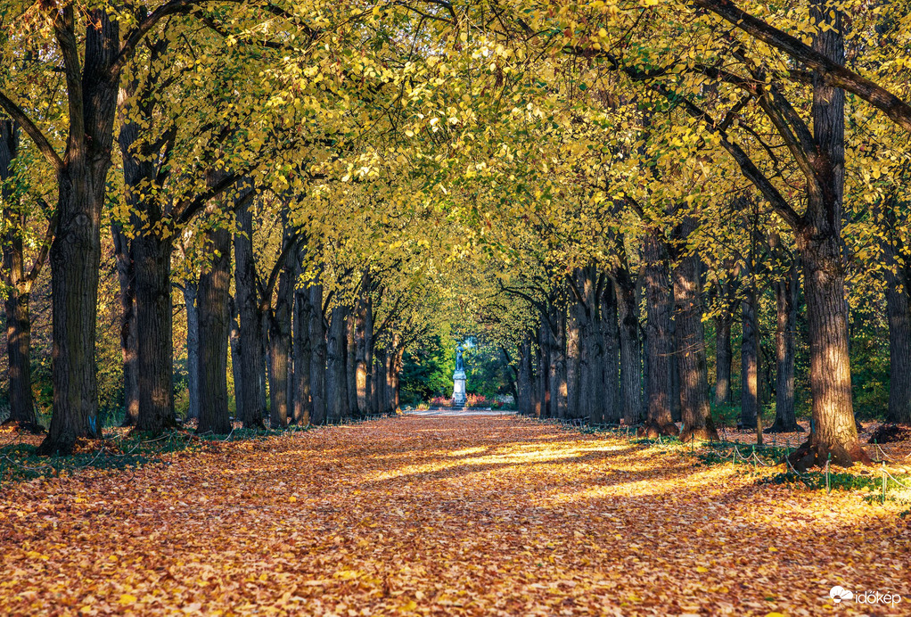 Gödöllő - Erzsébet park