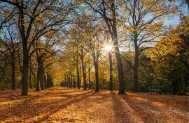 Gödöllő - Erzsébet park