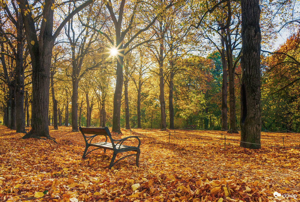 Gödöllő - Erzsébet park