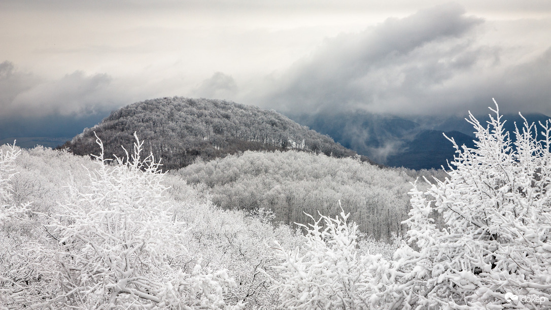 Bölcső-hegyi kilátó