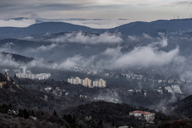 mikloslaszlo fotója