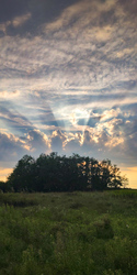 mikloslaszlo fotója