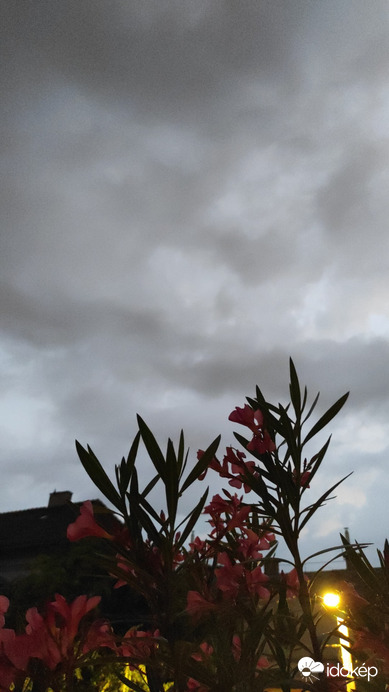 Budapest XIV.ker - Alsórákos