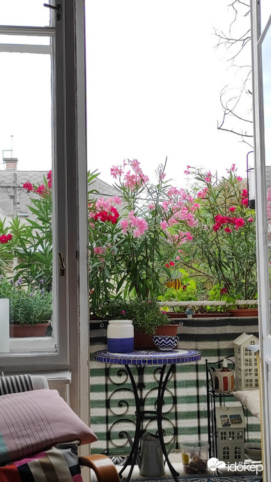 Budapest XIV.ker - Alsórákos