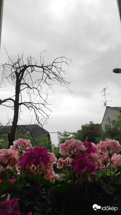 Budapest XIV.ker - Alsórákos